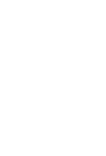 Schiszler Borászat Logo